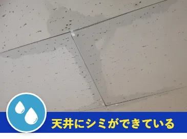 天井にシミができている